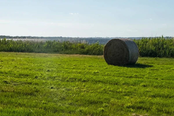 Lonely hay roll on a green filed with a lake on the background. — Stock Photo, Image