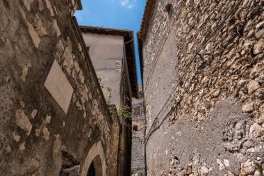 Antik taş duvarlar ile yeşil bitki.