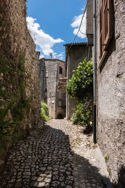 Street with plants of an old town. — Stock Photo, Image