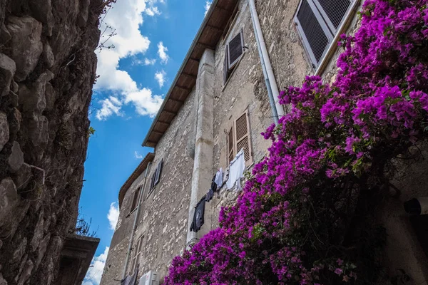 Low angle view of bougainvillea flower in front of an ancient stone residence. — Stock Photo, Image