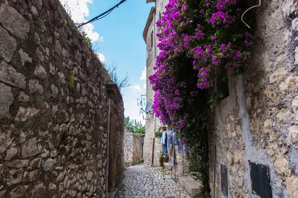 Bougainvillea flower in a medieval village street. — Stock Photo, Image