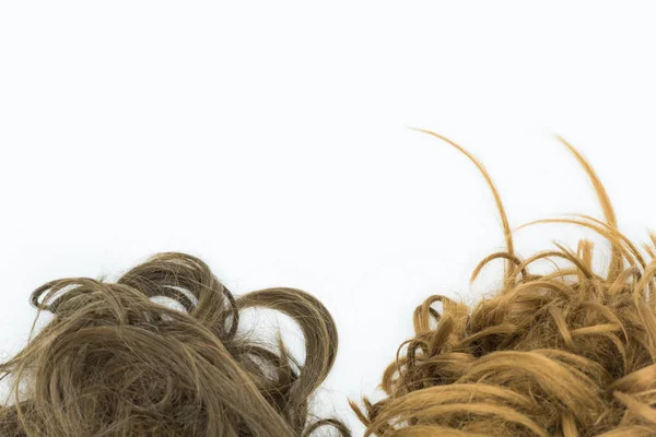 Brunette Blonde Hair Isolated White Background — Stock Photo, Image