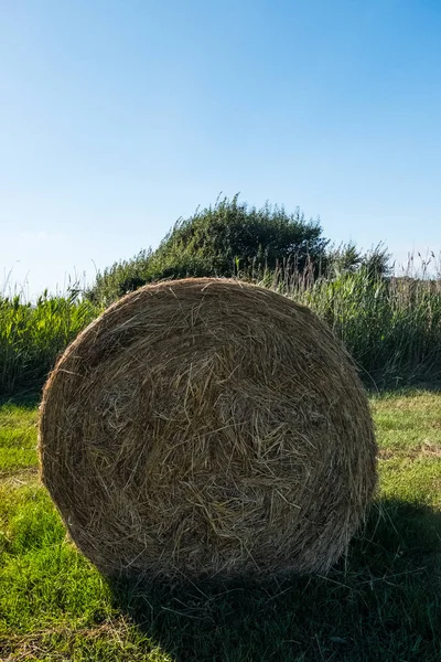 Hay Bale Agriculture Field Sky Rural Nature Farm Land Straw — Stock Photo, Image