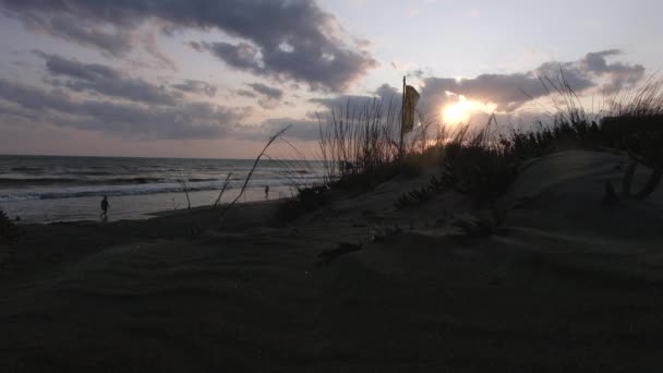 Bella Vista Del Paesaggio Sereno Dalle Dune Sabbia Tramonto Estivo — Video Stock