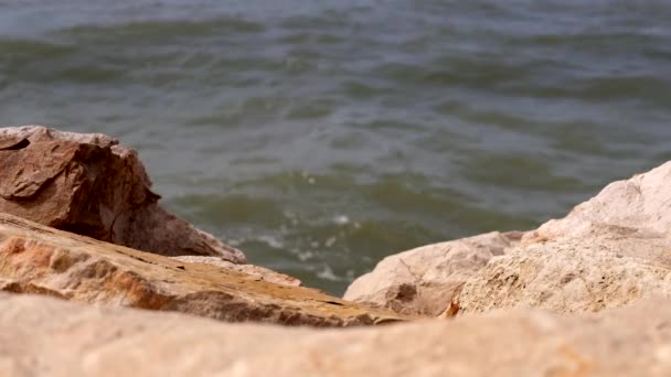 在晴朗的夏日 海水在海岸上撞击岩石的特写视图 没有人 — 图库视频影像