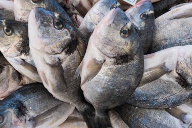 Sağlıklı duvar kağıdı arka planı. Marketteki sağlıklı taze organik yiyecekler. Kimse yok..