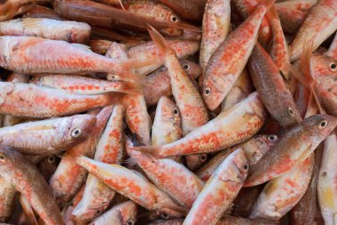 Sağlıklı duvar kağıdı arka planı. Marketteki sağlıklı taze organik yiyecekler. Kimse yok..