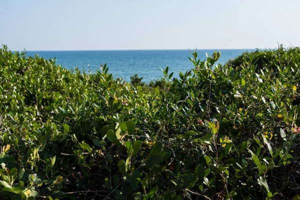 Natuur Landschap Wallpaper Achtergrond Zeewater Achter Groene Duinen Een Zomerdag — Stockfoto