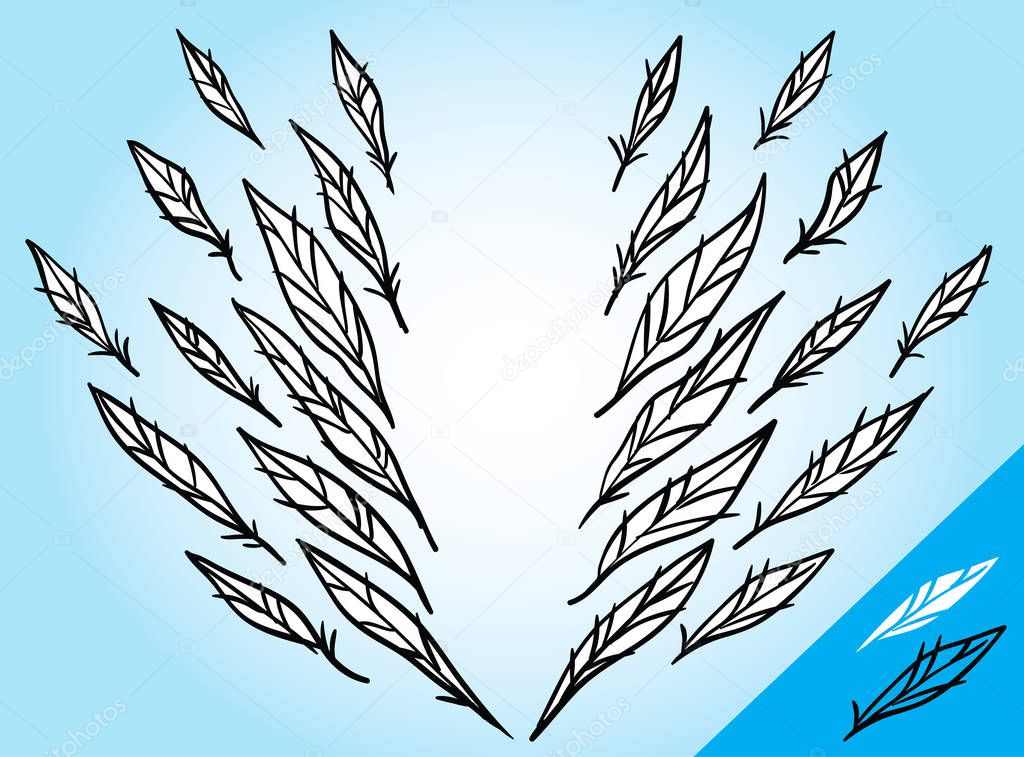Cartoon feathers arranged in an arc