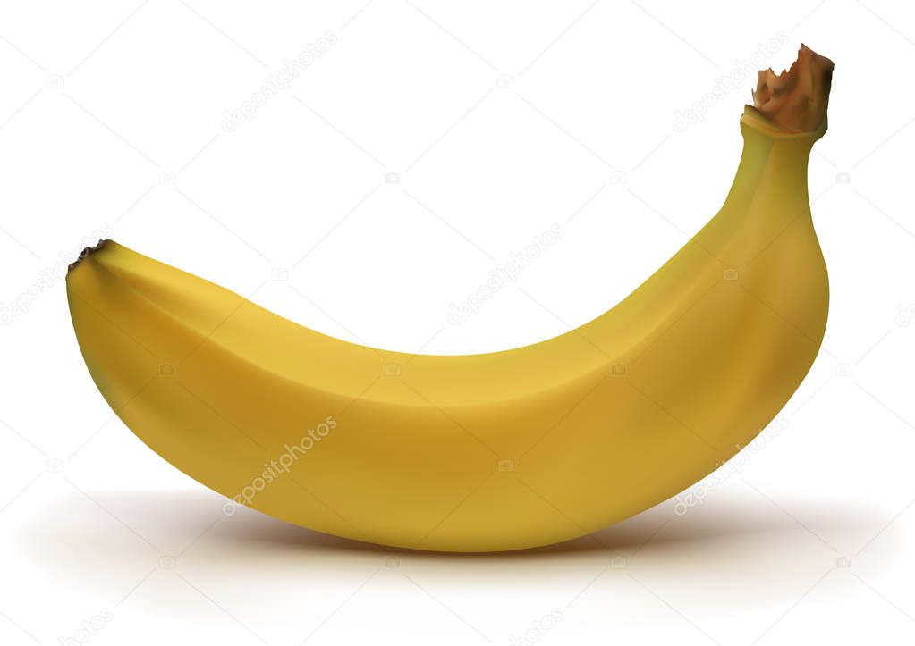 Realistic yellow banana with shadow in vector mesh