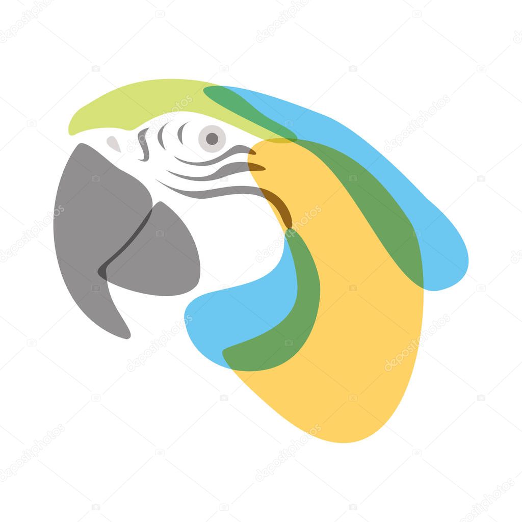 Stylized illustration of a Macaws head with minimalist watercolor effect