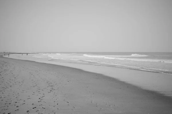 Long Beach Scène Zonder Mensen — Stockfoto