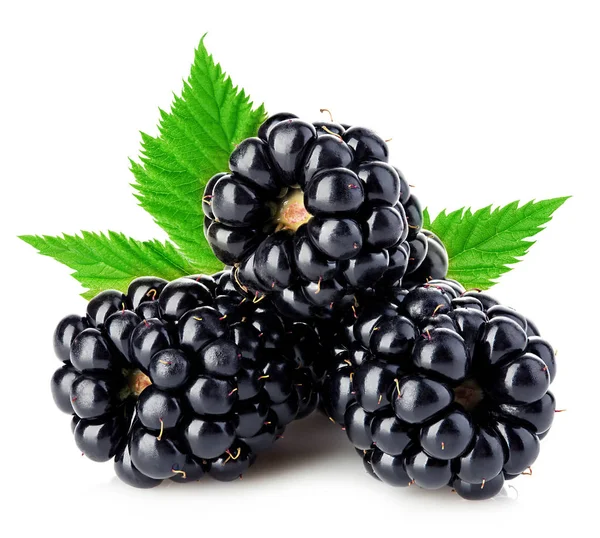 Fresh Blackberries Leaves Close Isolated White Background — Stock Photo, Image