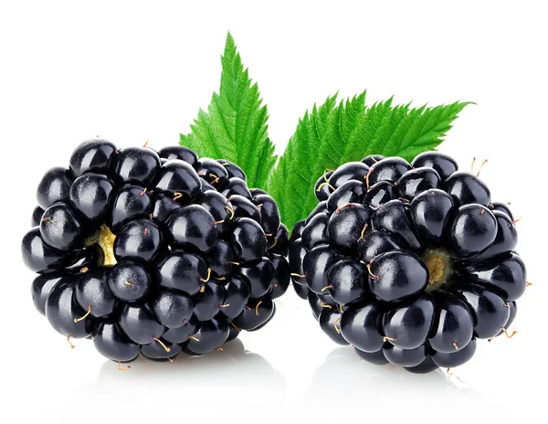 Frische Brombeeren Mit Blättern Nahaufnahme Isoliert Auf Weißem Hintergrund — Stockfoto