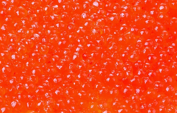 Red Caviar Close Background — Stock Photo, Image