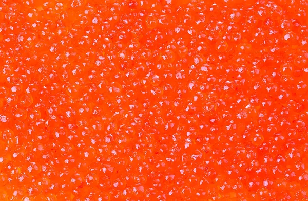 Caviar Vermelho Close Como Fundo — Fotografia de Stock