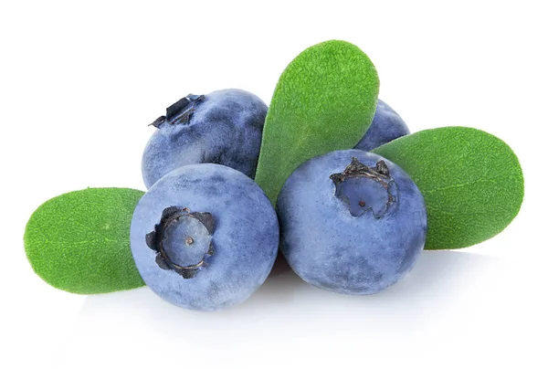 Blueberries Leaves Close Isolated White Background — Stock Photo, Image