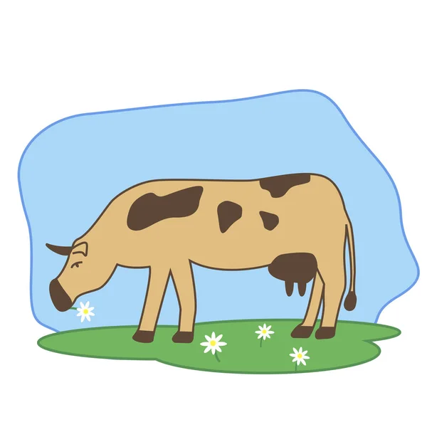 Vector Illustration Cow Grazing Field Chews Flowers — Stock Vector