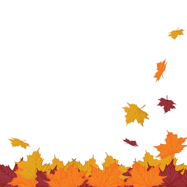 カラフルな秋の花背景 白い背景に分離されたカエデの木から葉の赤 オレンジ 黄色のベクトル図 — ストックベクタ