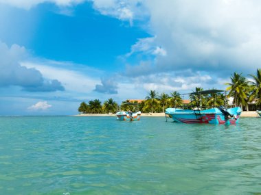  plaj ve tropikal deniz