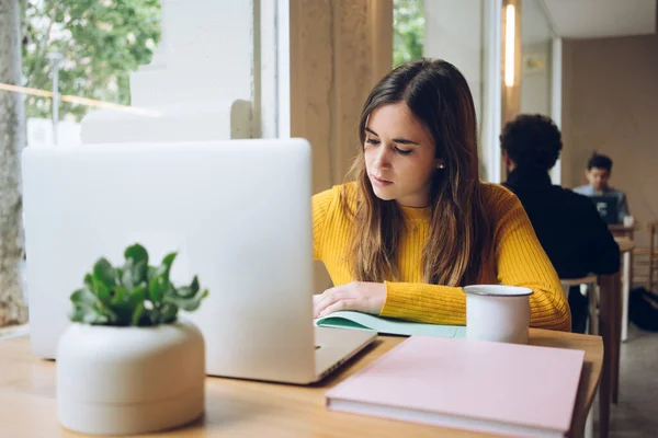 İş kadını Not Tutuyor. Kadın elleri not defterine işaret koyuyor. Şehir kahvecisindeki işyeri. Kadın serbest çalışan, öğle yemeği sırasında çalışan. Blogcu gazeteciler halkın önünde