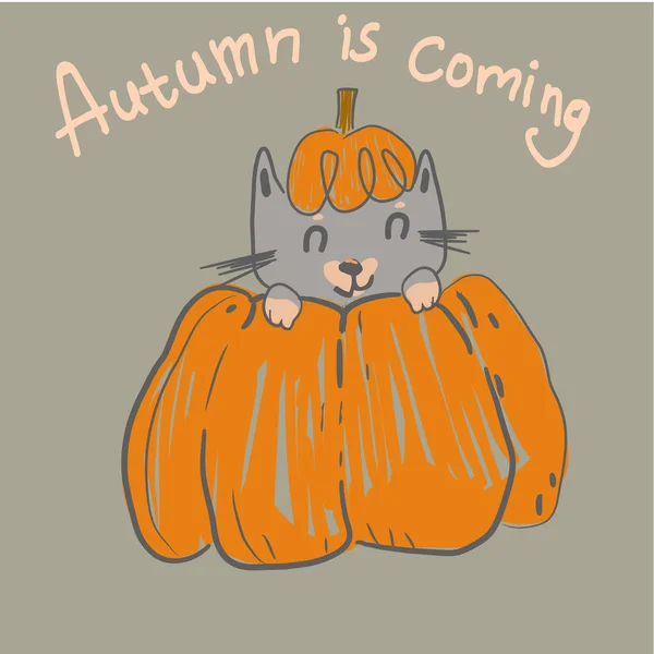 Autumn postcard with cat siting in halloween pumpkin. halloween postcard — Stock Vector