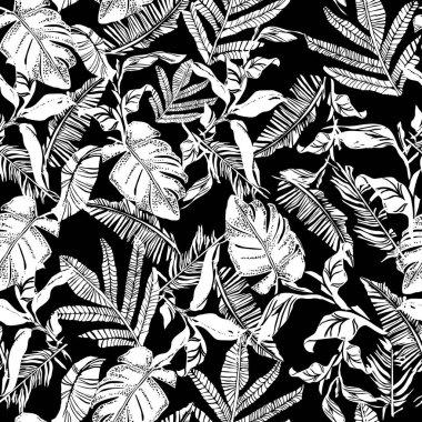 Grafiksel tropikal yapraklar, palmiye yaprakları, muz yaprakları ve orman bitkilerinin bileşimleriyle vektörsüz desen. Güzel siyah beyaz tropikal arka plan