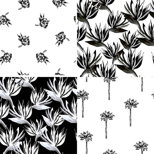 Conjunto Flores Palmeras Tropicales Vectoriales Colección Fondos Pantalla Tropicales Sobre — Vector de stock