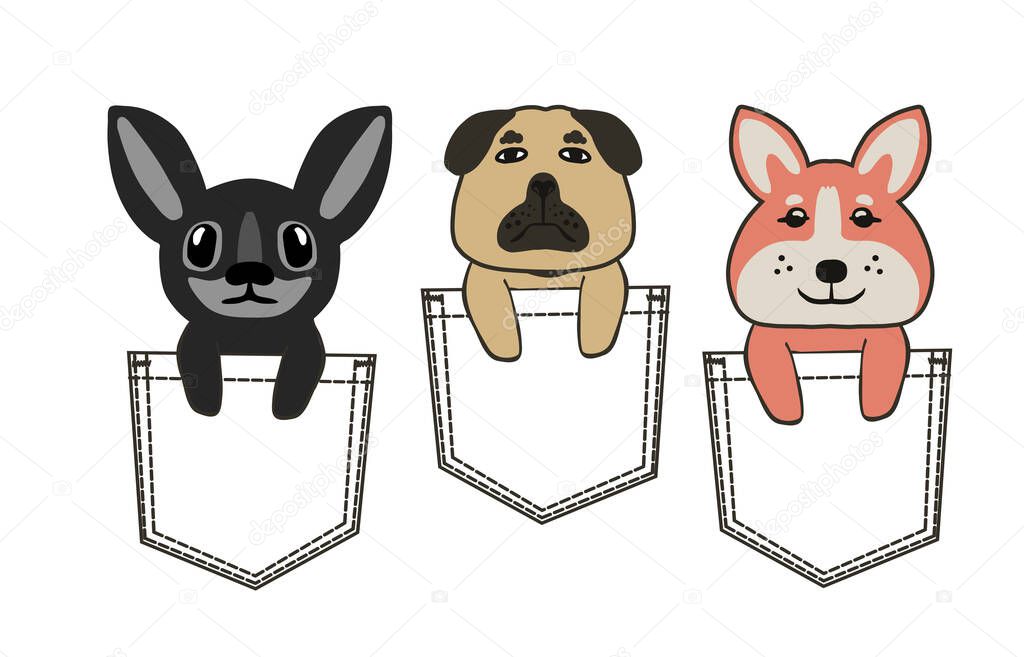 Cute cartoon dogs sitting in pockets image. Vector illustration of  Popular breed of dogs. Perfect for kids t shirt print.