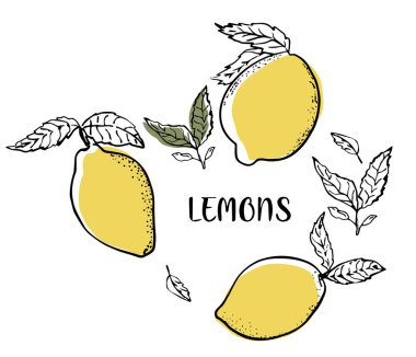 Taze limon meyveleri, yapraklı ve yazılı vektör çizimleri koleksiyonu. Limonlu olsun..