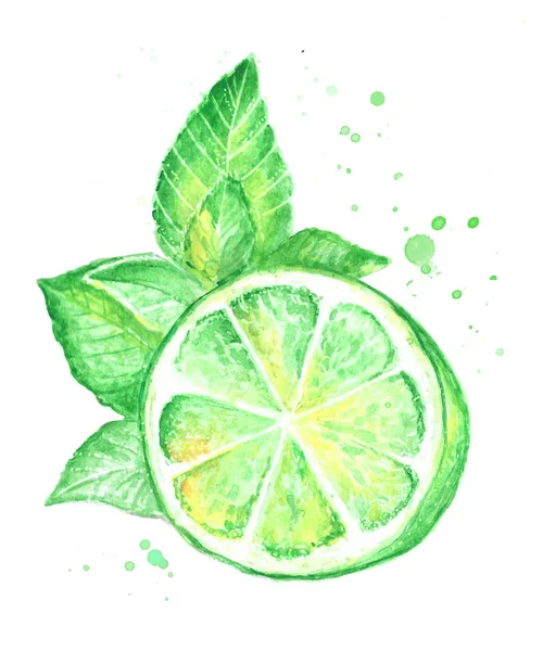 Akvarell Lime Saftig Färsk Tropisk Sommar — Stockfoto