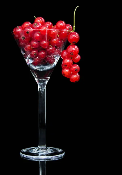 Red Currants Cocktail Glass Black Background — Stock Photo, Image