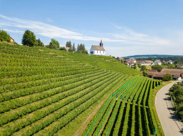 Veduta Aerea Dei Vigneti Con Bianco Bergkirche Nikolaus Sulla Cima — Foto Stock