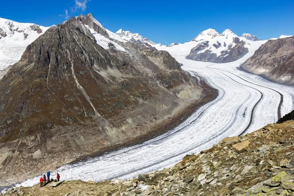 Fiesch Svizzera Settembre 2017 Escursionisti Sul Ghiacciaio Del Grande Aletsch — Foto Stock