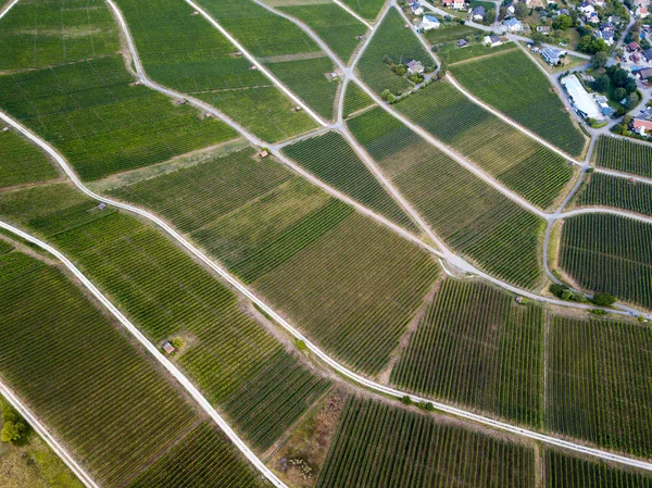 Aerial View Beautiful Wineyards Landscape Village Drone — Stock Photo, Image