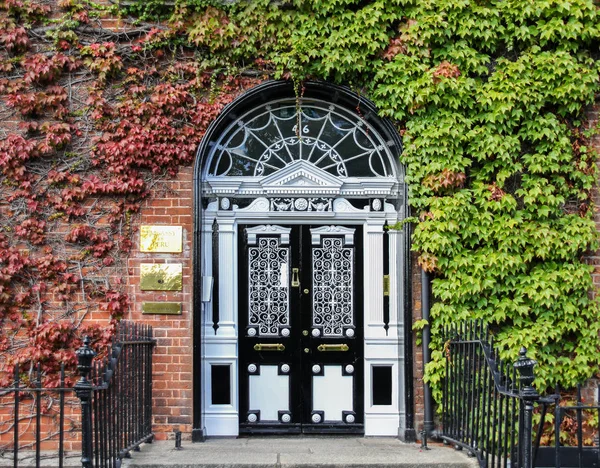 爱尔兰都柏林 9月09日 2018 传统的格鲁吉亚风格的前门在都柏林墙上攀登常春藤植物 镇上最美丽的房子门之一 — 图库照片