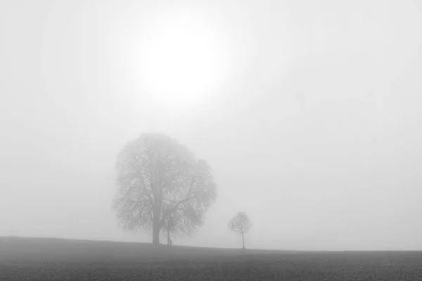 Tidig Morgon Solen Stiger Och Grå Morgon Dimma Höstsäsongen Över — Stockfoto