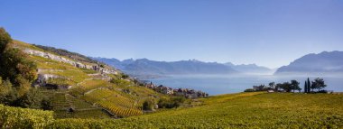 Laxaux bağ bölge boyunca Canton Vaud, İsviçre Cenevre Gölü Unesco mirasına Panorama görünümünü