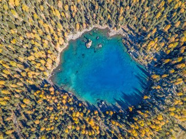 Drone üzerinde bir kalp şekli lake kaplı Canton Grison, İsviçre Saoseo gölde sonbahar larch ağaçlar tarafından-hava shot