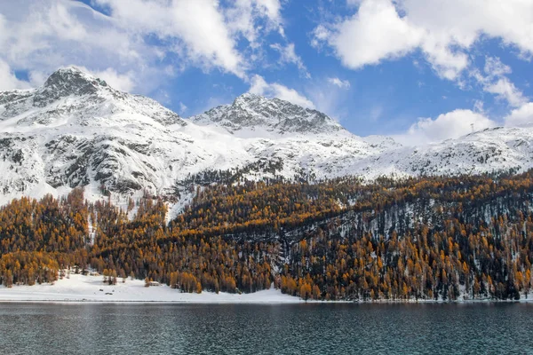Inverno Con Ultimo Colore Giallo Dai Larici Moritz Svizzera — Foto Stock