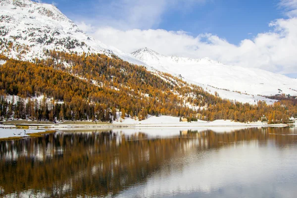 Invierno Con Último Color Amarillo Los Alerces Moritz Suiza —  Fotos de Stock