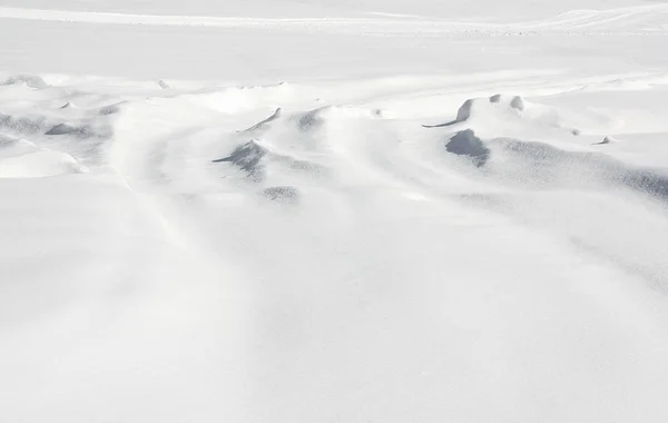 秋の新しい雪の中で地球表面の美しい背景 — ストック写真