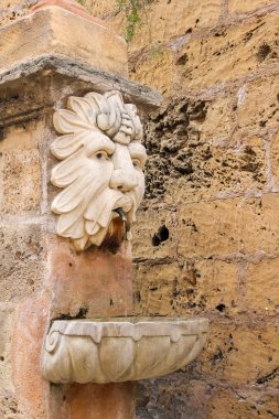 Aslan kafalı bir taş merdivenle Cathedral of Palma de Mallorca dışında üzerinde Çeşme