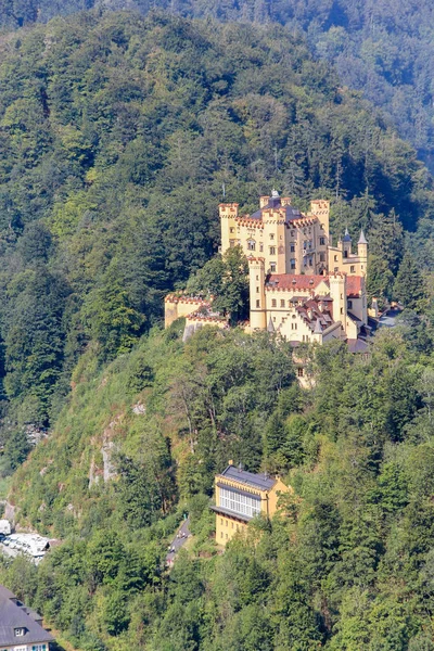 Château Hohenschwangau Entouré Par Forêt Été Est Château 19Ème Siècle — Photo