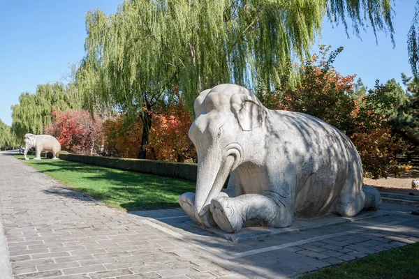 Klęcząc Statua Słonia Jednym Stojącą Starożytnych Ming Dynesty Grób Alley — Zdjęcie stockowe