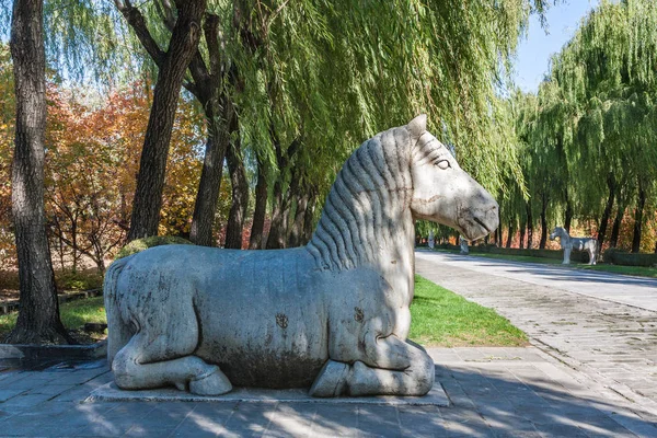 Kniende Pferdestatue Auf Der Alten Ming Dynastie Graballee Gegründet Jahrhundert — Stockfoto