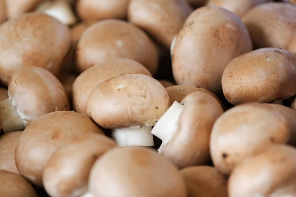 Piyasada Satılan Ortak Kahverengi Champignon Mantar — Stok fotoğraf