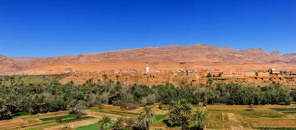 Panorama Cidade Oásis Tinerhir Dades Valley Marrocos Grande Arquivo Costurado — Fotografia de Stock