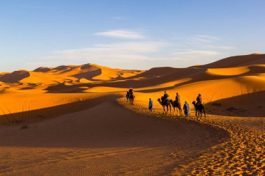 Camel Riding Caravan along sand dunes at the sunset time in the Sahara Desert, Morocco 