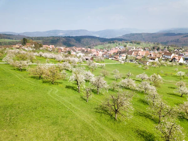 Letecký Pohled Švýcarskou Vesnici Nuglar Kvetoucí Zahradou Kopci — Stock fotografie